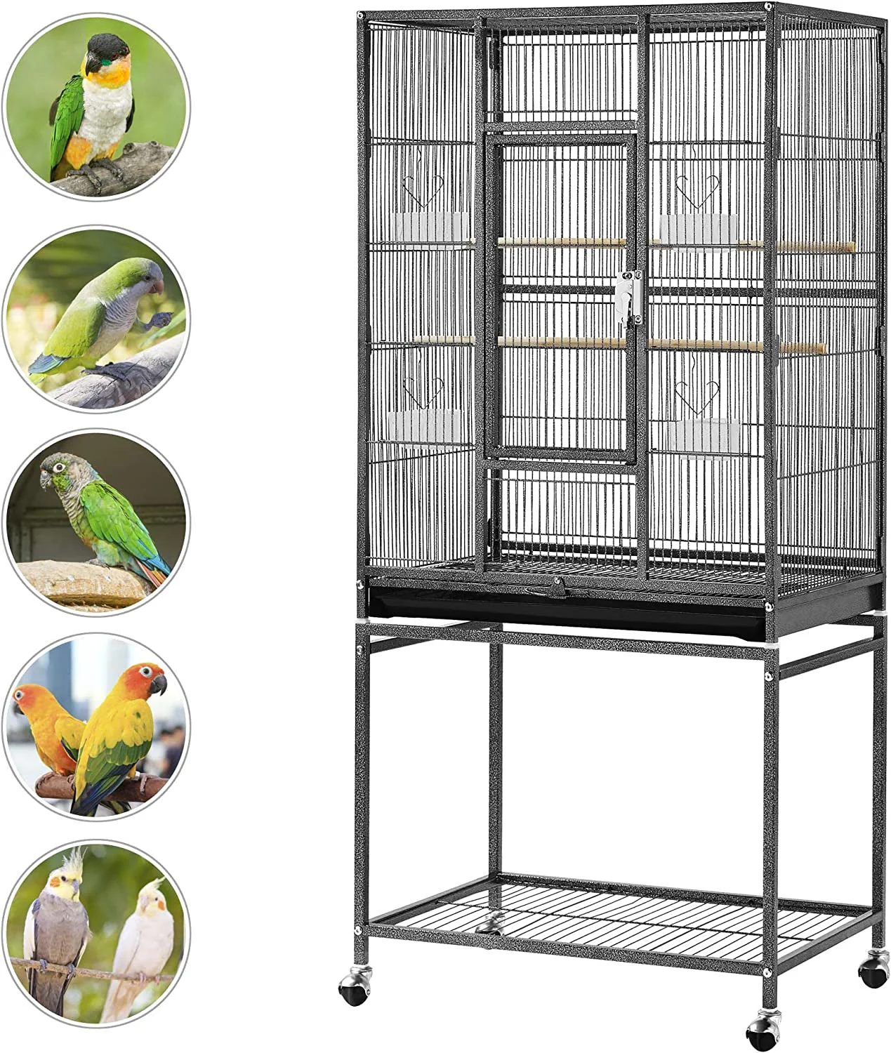 54-Inch Wrought Iron Standing for Large Parrot - Image 5