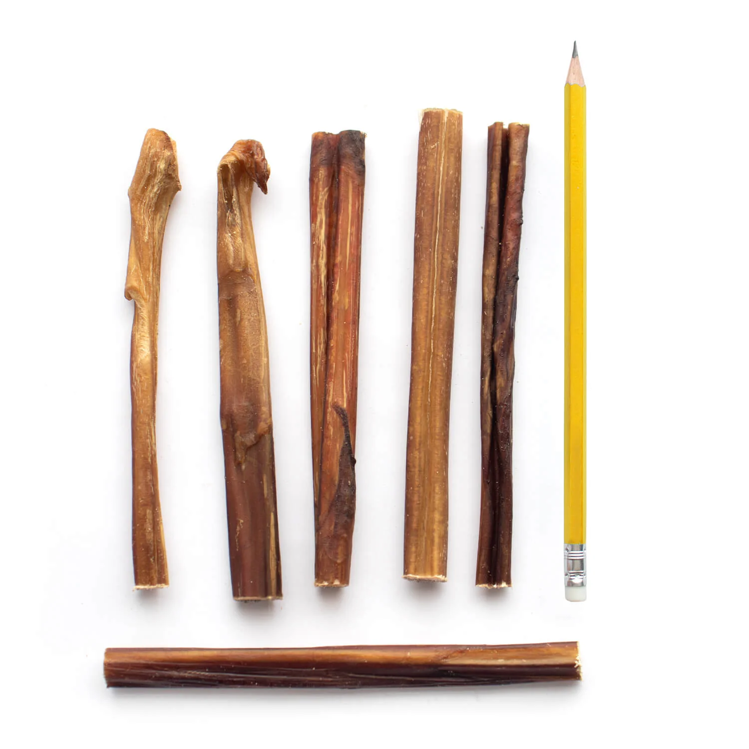 6" Junior Bully Sticks (25 sticks bag) - Image 3