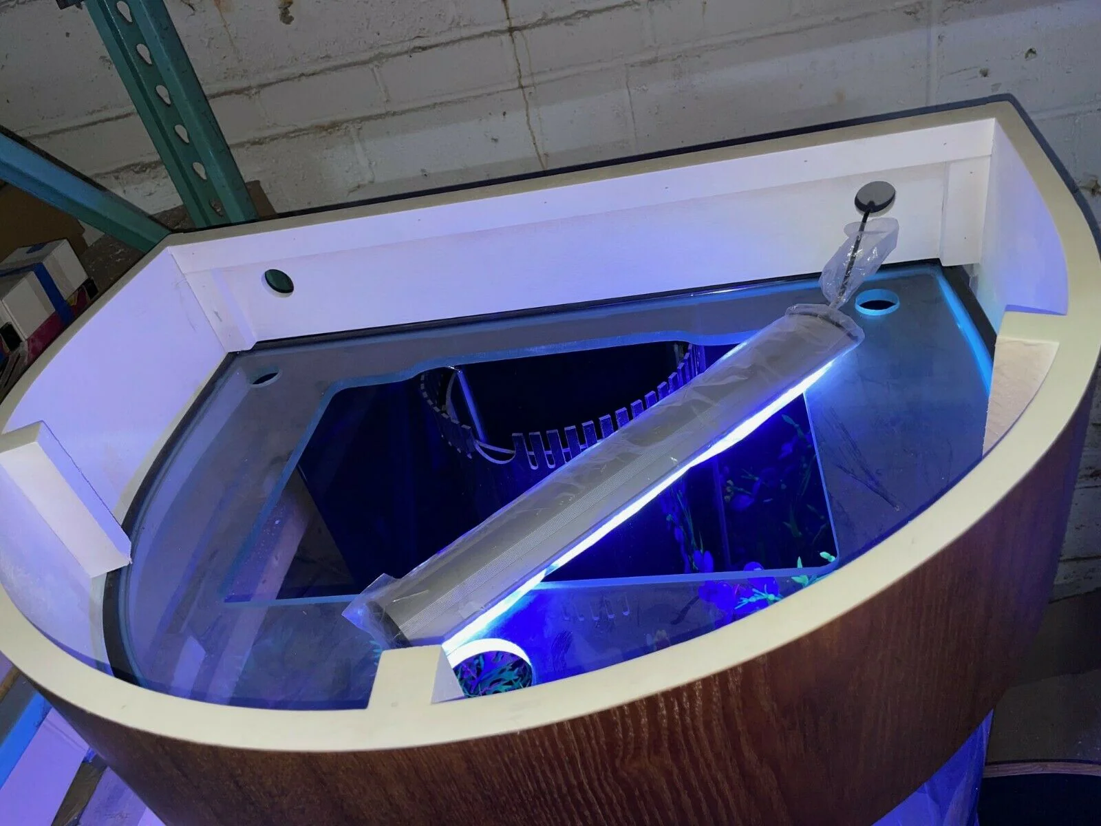 60 Gallon Half Round (Flat Sides) Reef-Ready Aquarium with Stand, Deep Oak - Image 4
