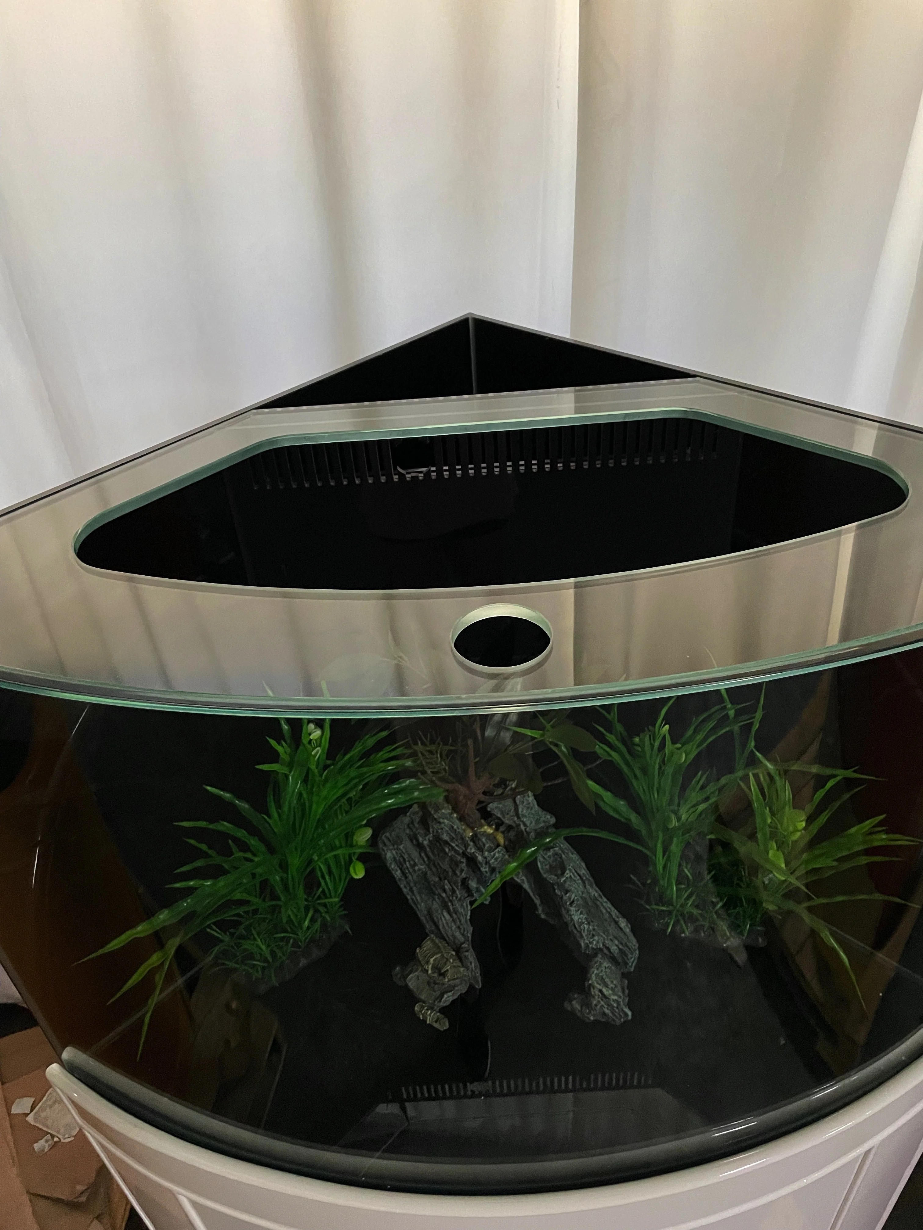 66 gallon GLASS corner bow front aquarium fish tank set NEW! - Image 4