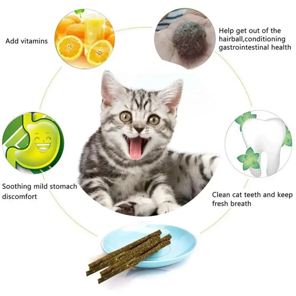 6PCS Natural Matatabi Cat Sticks – Silvervine Teeth Cleaning Treat & Cat Chew Toy - Image 2