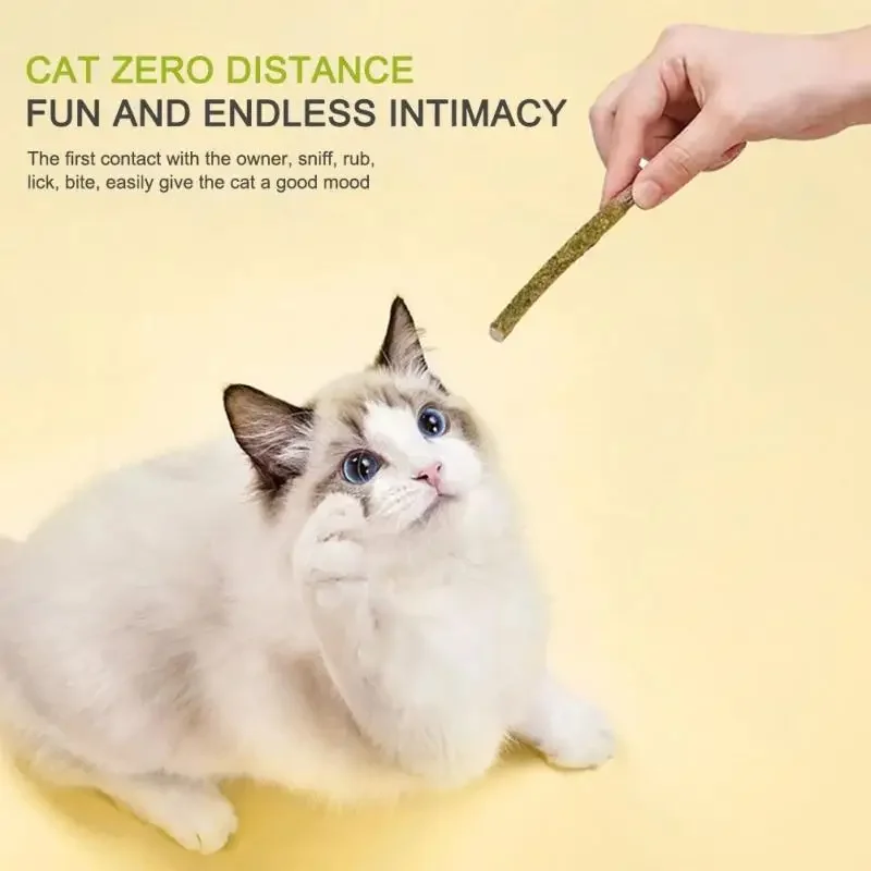 6PCS Natural Matatabi Cat Sticks – Silvervine Teeth Cleaning Treat & Cat Chew Toy - Image 4