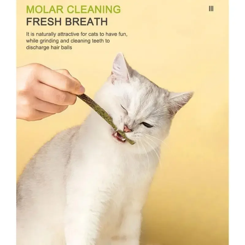 6PCS Natural Matatabi Cat Sticks – Silvervine Teeth Cleaning Treat & Cat Chew Toy - Image 5