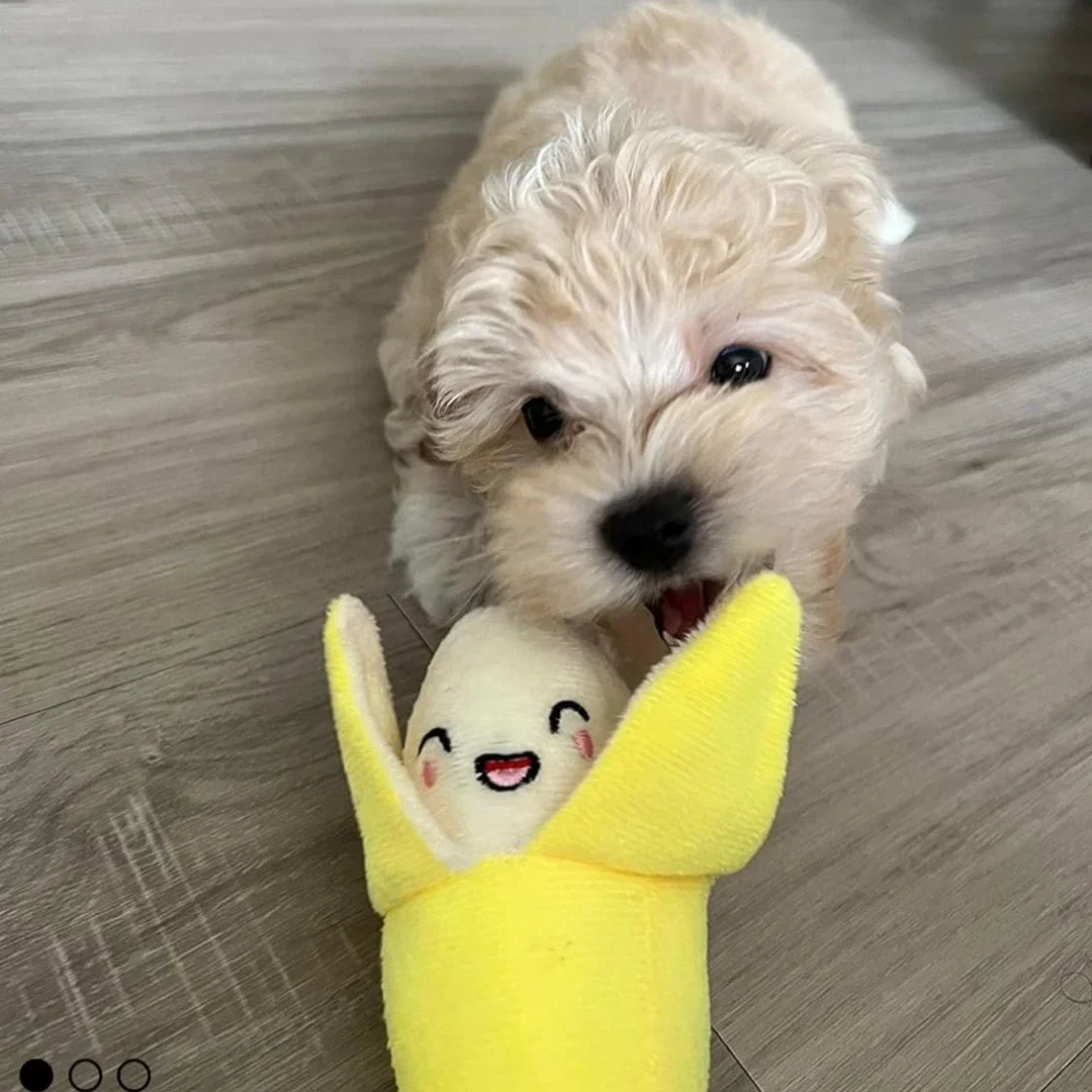 7-Piece Plush Puppy Toy Set – Chew, Play & Sound - Image 7