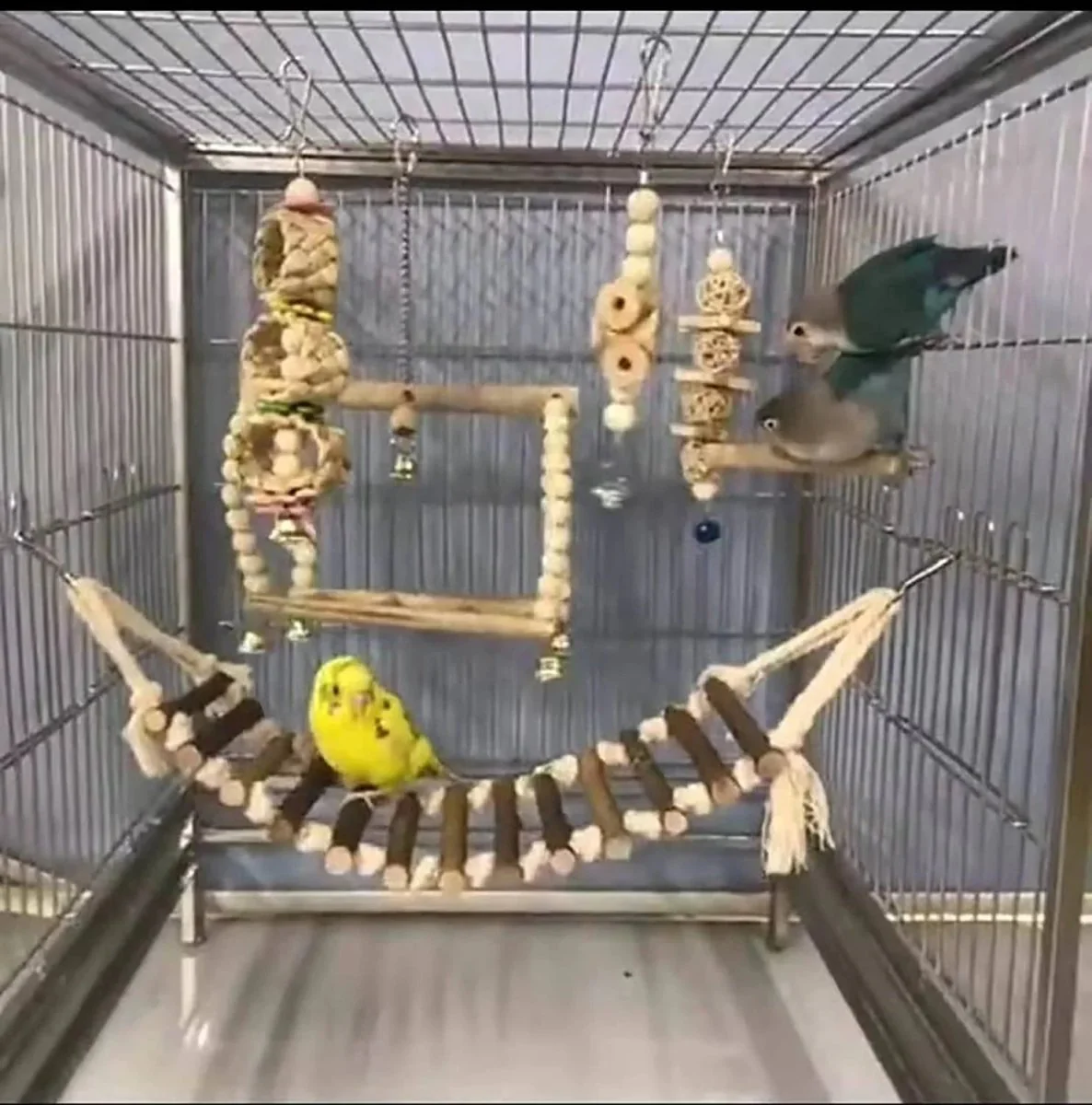 8 Pack Bird Toys for Cage Accessories - Image 6