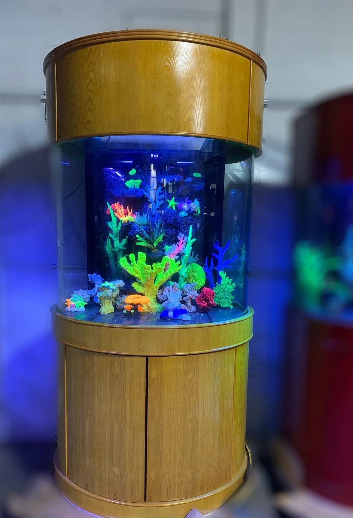 90 Gallon Glass 3/4 Cylinder Round Aquarium With Stand and Canopy in Golden Oak - Image 2