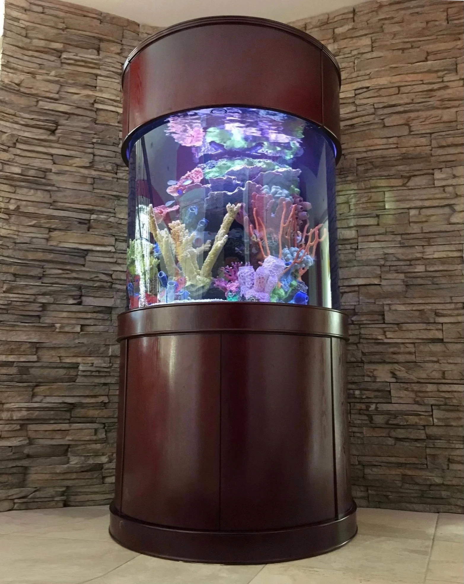 90 Gallon Glass 3/4 Cylinder Round Aquarium With Stand and Canopy in Golden Oak - Image 7