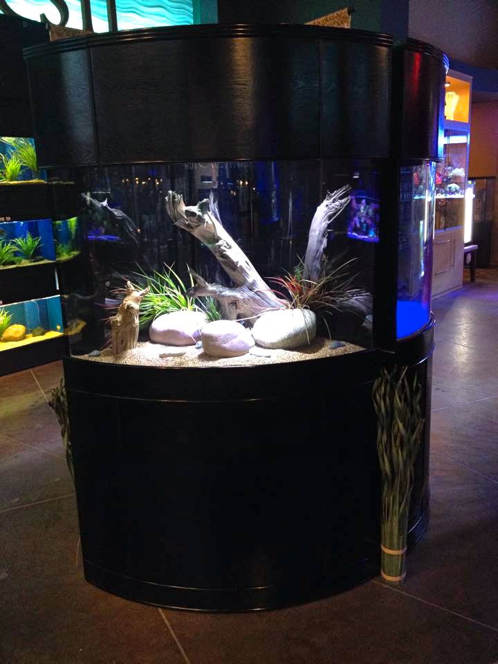 90g Corner 1/4 Cylinder Reef-Ready Aquarium Set in White - Image 2