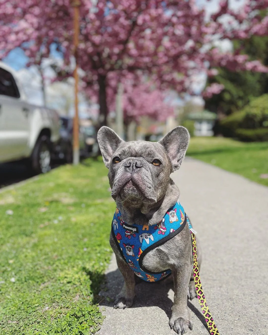 90s Baby Reversible Harness - Image 3