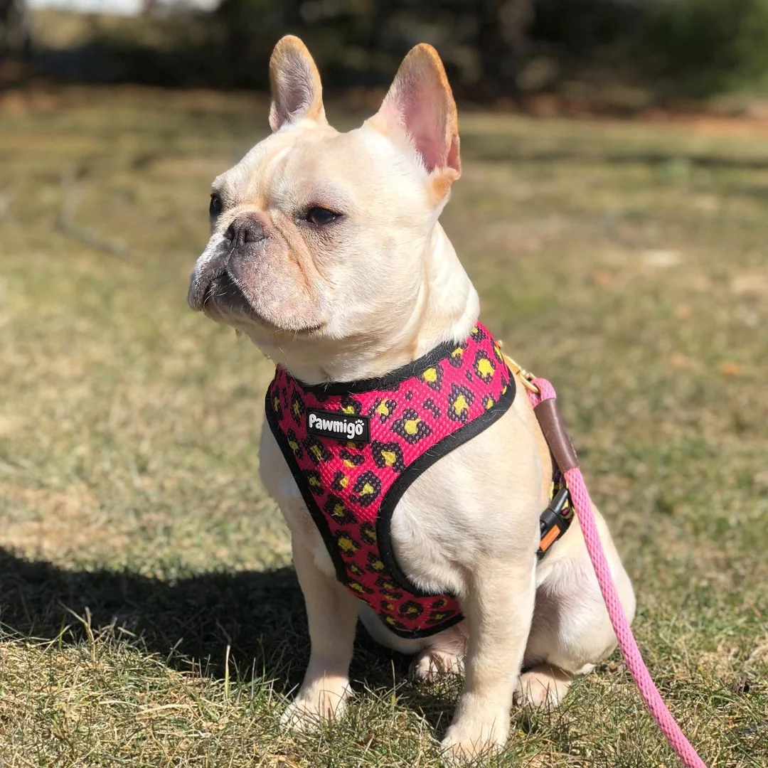 90s Baby Reversible Harness - Image 4