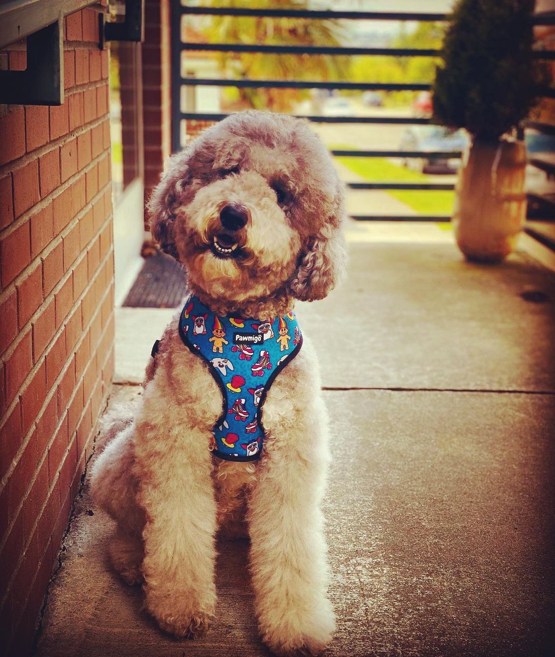 90s Baby Reversible Harness - Image 8