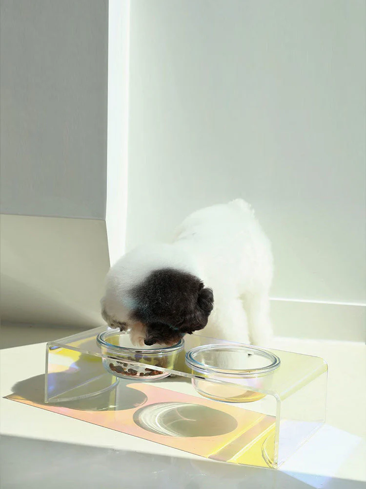 Acrylic Glass Pet Dazzling Food Bowl - Image 6