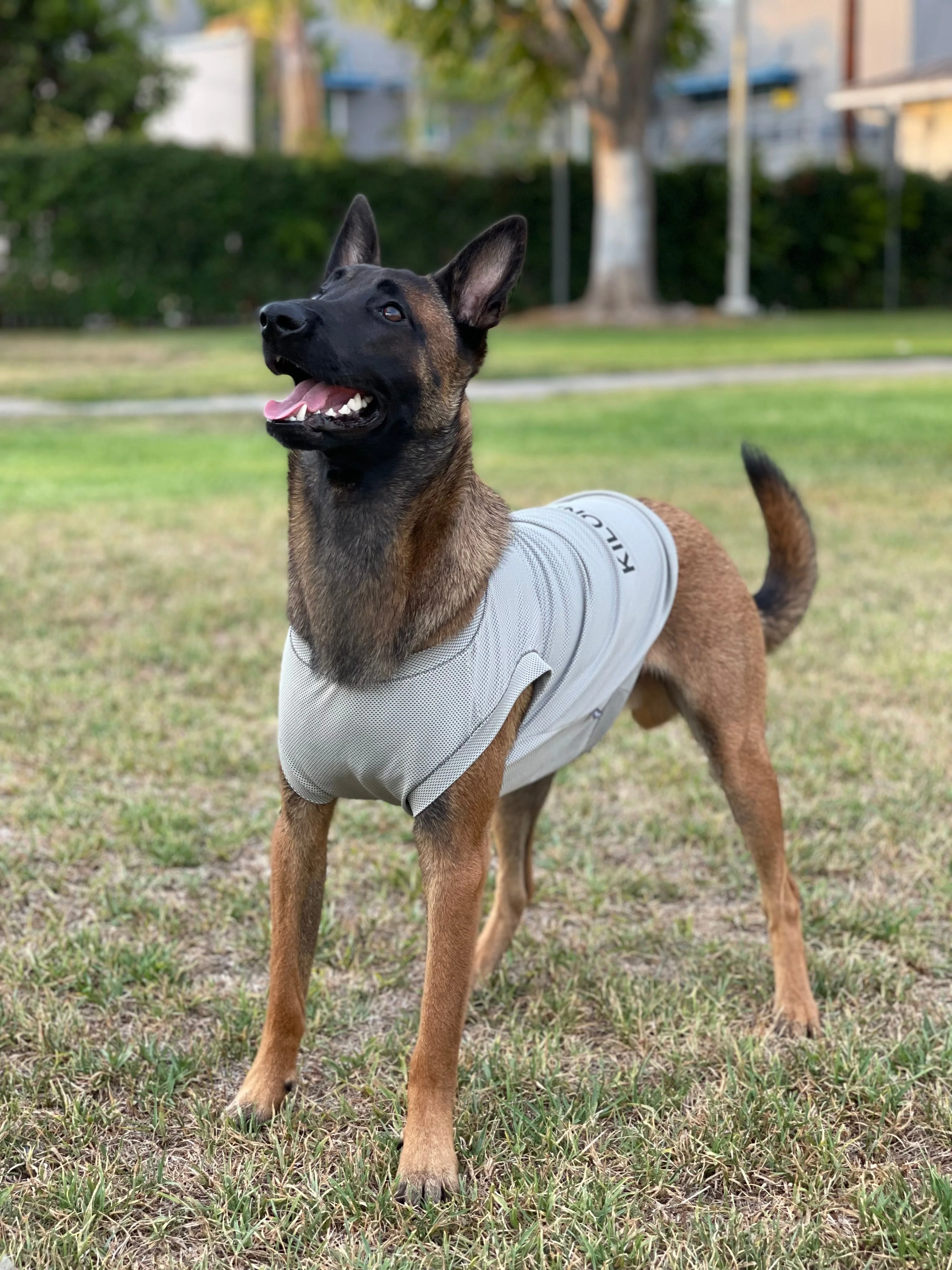 ACTIVE COOLING SHIRT - Image 3