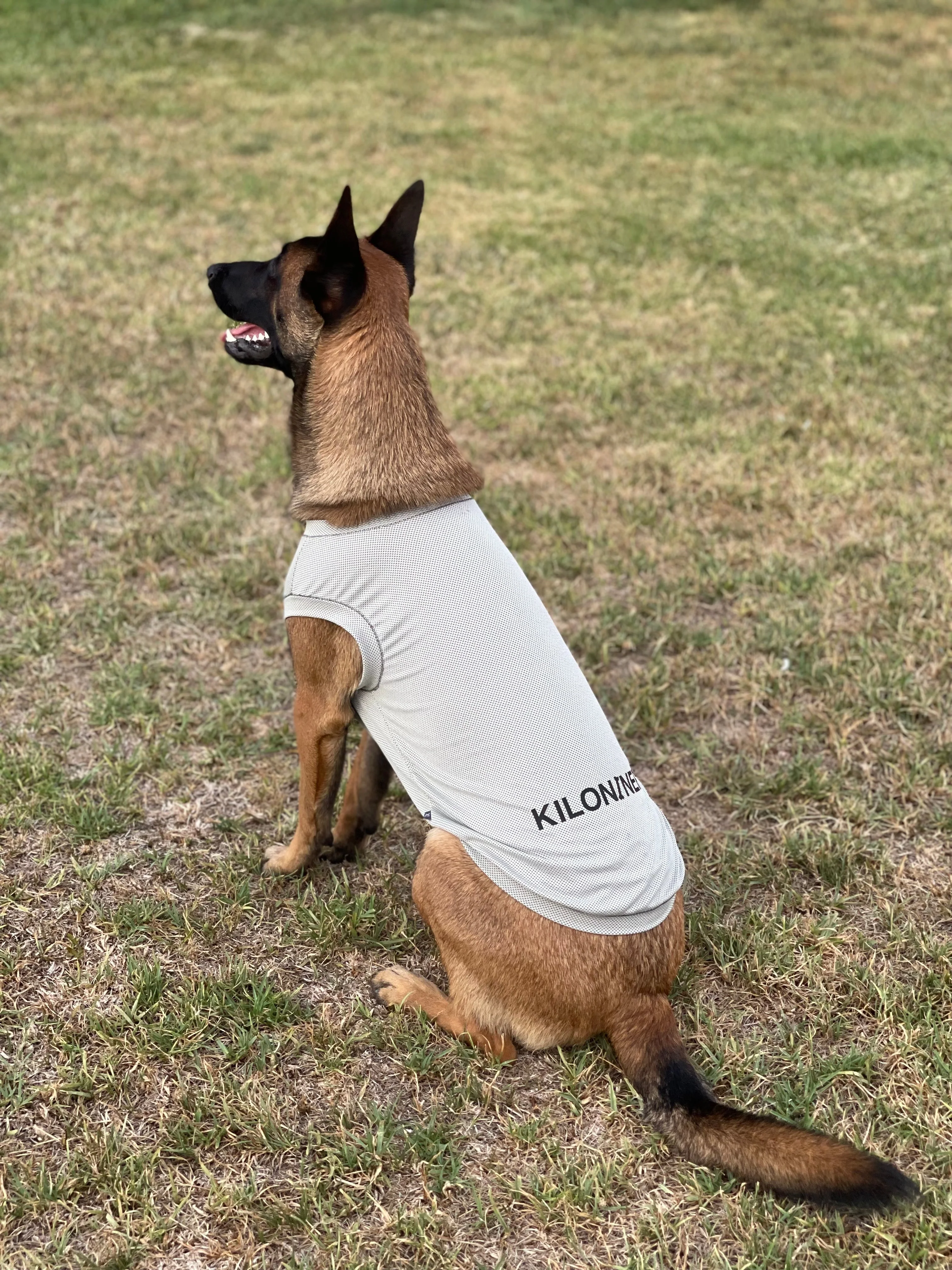 ACTIVE COOLING SHIRT - Image 4