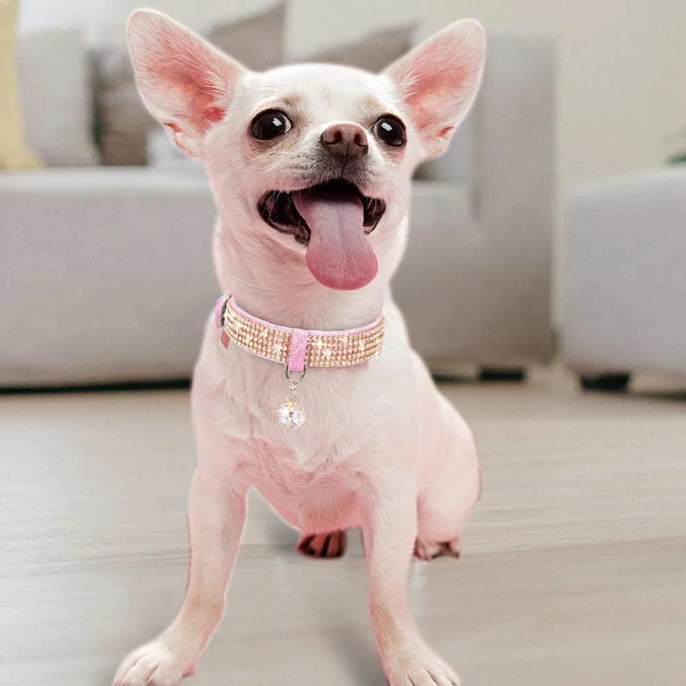 Adjustable cats and dogs Collars - Image 5