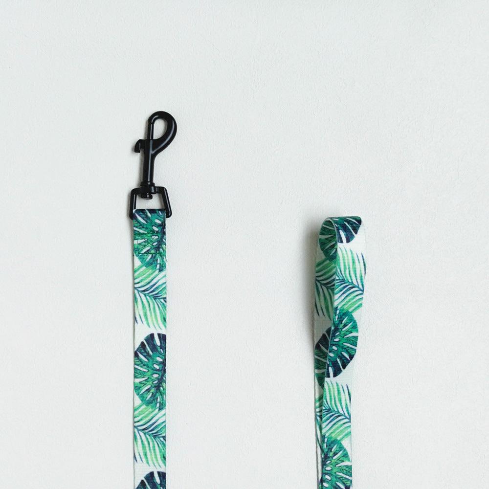Adjustable Dog Harness and Leash Set - Image 5