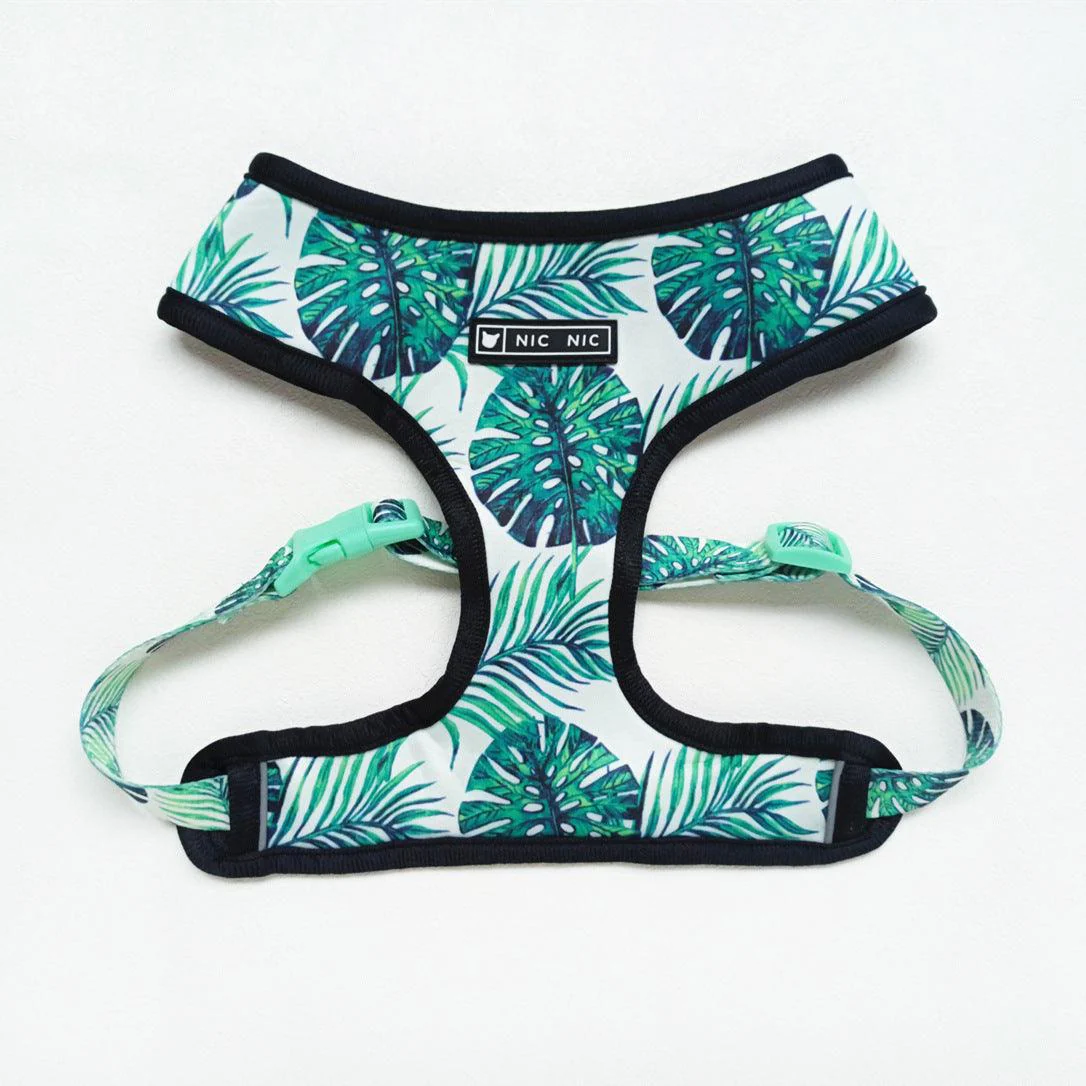 Adjustable Dog Harness and Leash Set - Image 6