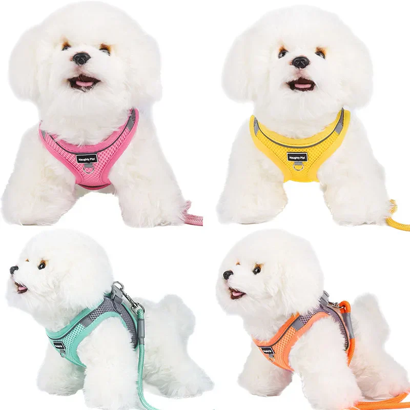 Adjustable Dog Harness & Leash Set for Small Dogs – Comfortable & Safe Walking Gear - Image 2