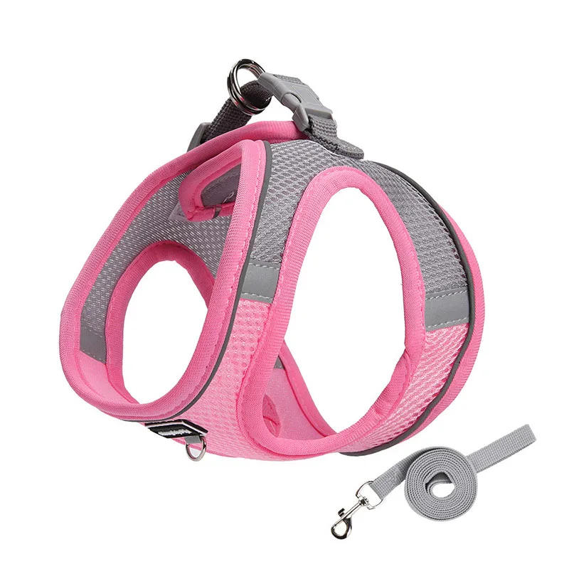 Adjustable Dog Harness & Leash Set for Small Dogs – Comfortable & Safe Walking Gear - Image 9