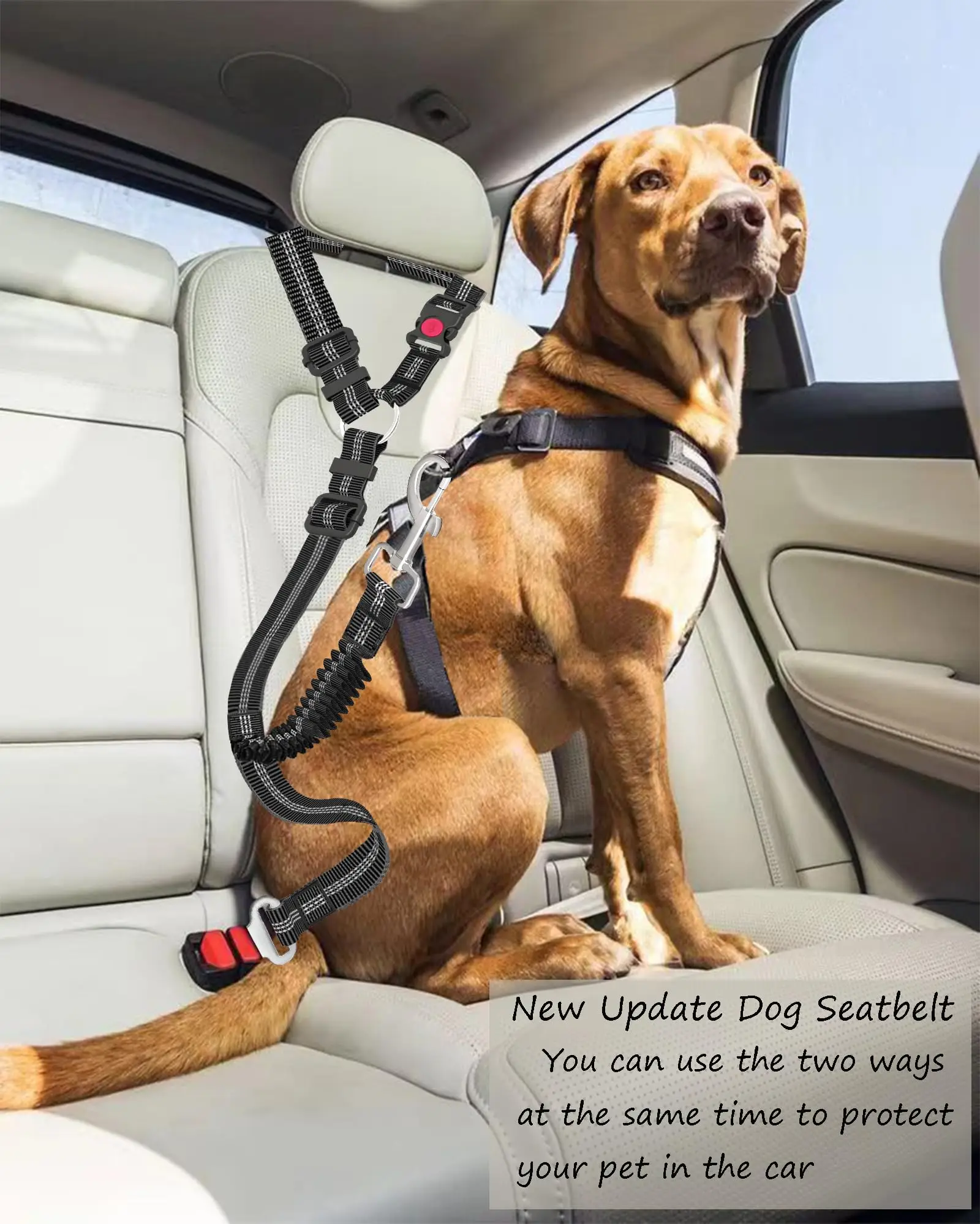 Adjustable Heavy-Duty Dog Car Seat Belt – Striped Nylon Safety Leash for Large Dogs - Image 2