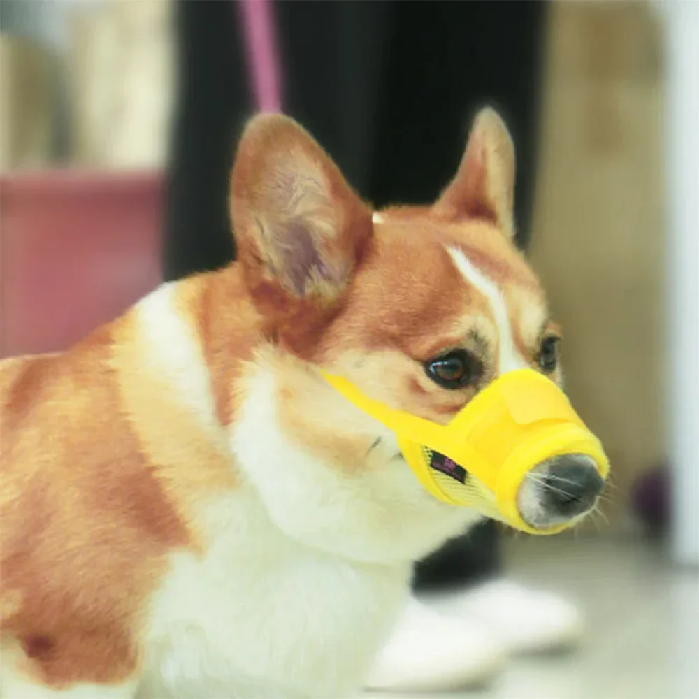 Adjustable Mesh Dog Muzzle – Anti-Barking & Anti-Biting Breathable Mouth Cover for Small & Medium Dogs - Image 4