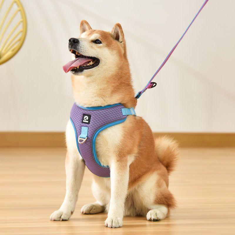 Adjustable Reflective Dog Harness Set - Image 2