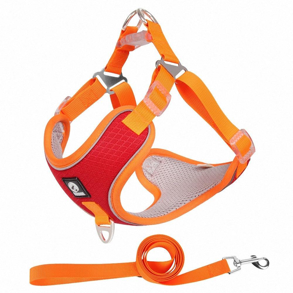 Adjustable Reflective Dog Harness Set - Image 6