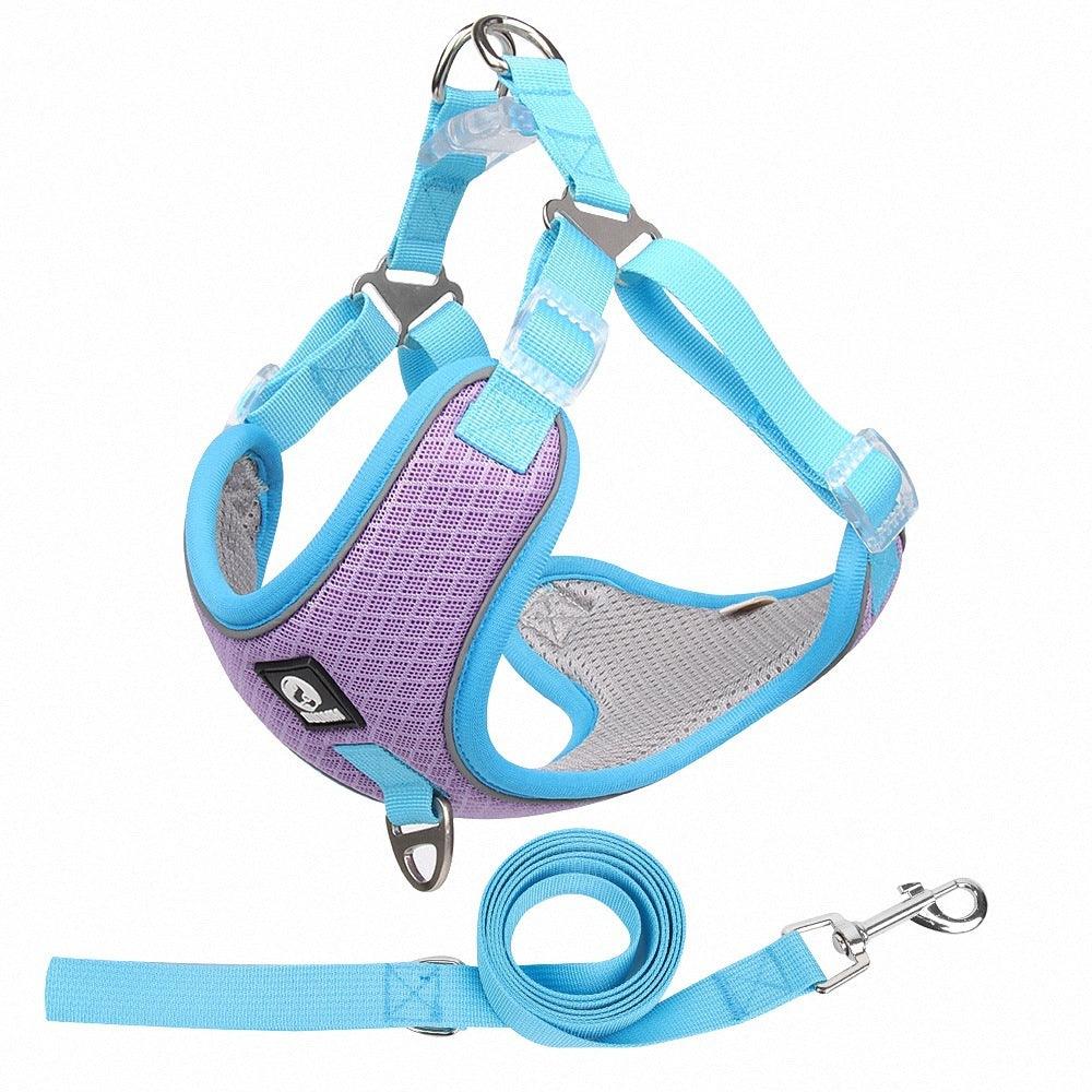 Adjustable Reflective Dog Harness Set - Image 8