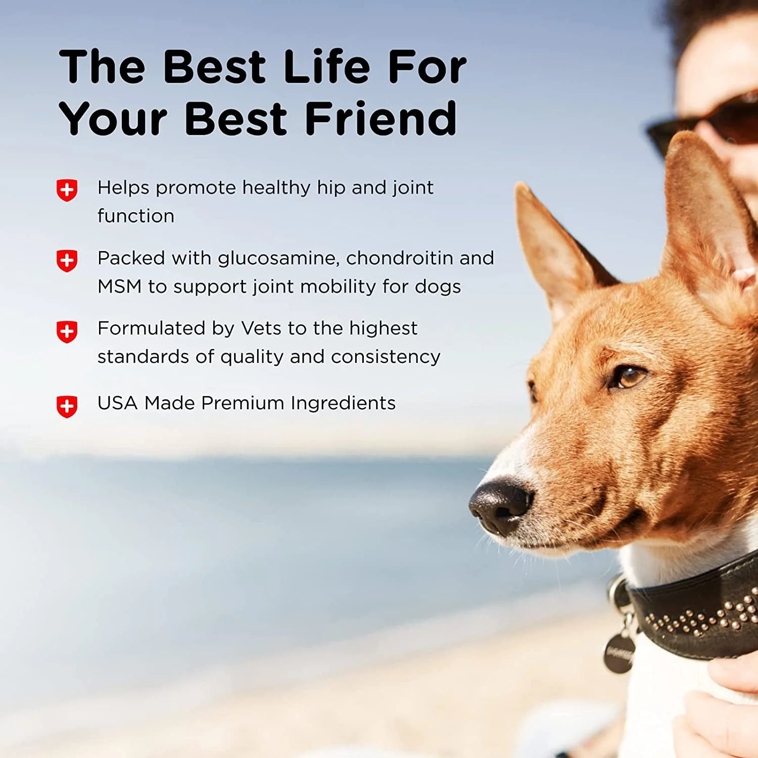 Advanced Strength Hip & Joint Chewable Dog Supplements - Image 5