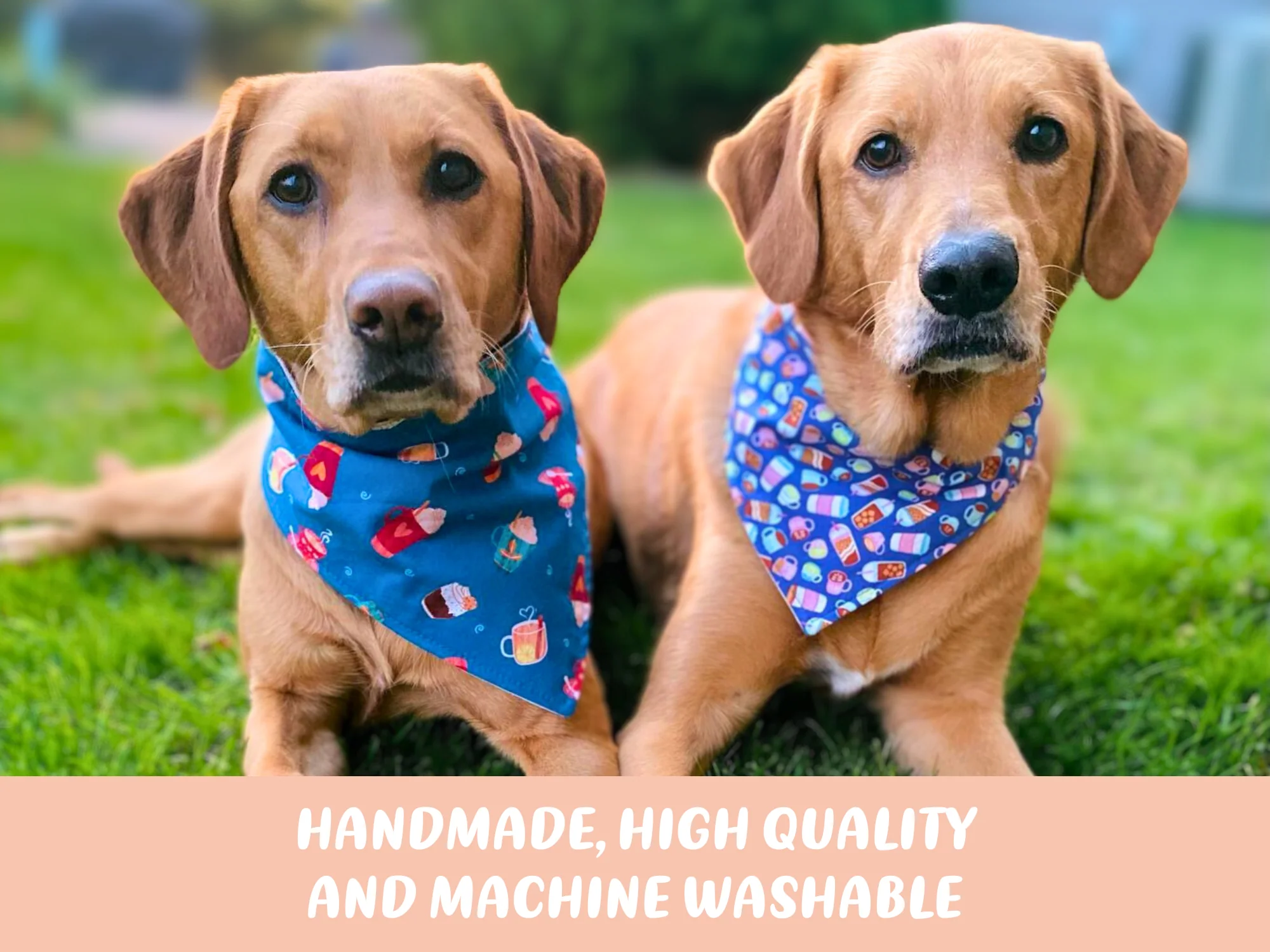 "Adventure" Dog Bandana - Image 2