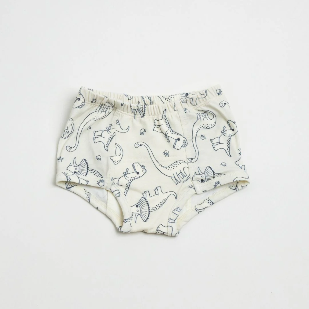 Adventure-Ready Organic Potty Training Underwear (4 Pack) - Image 7