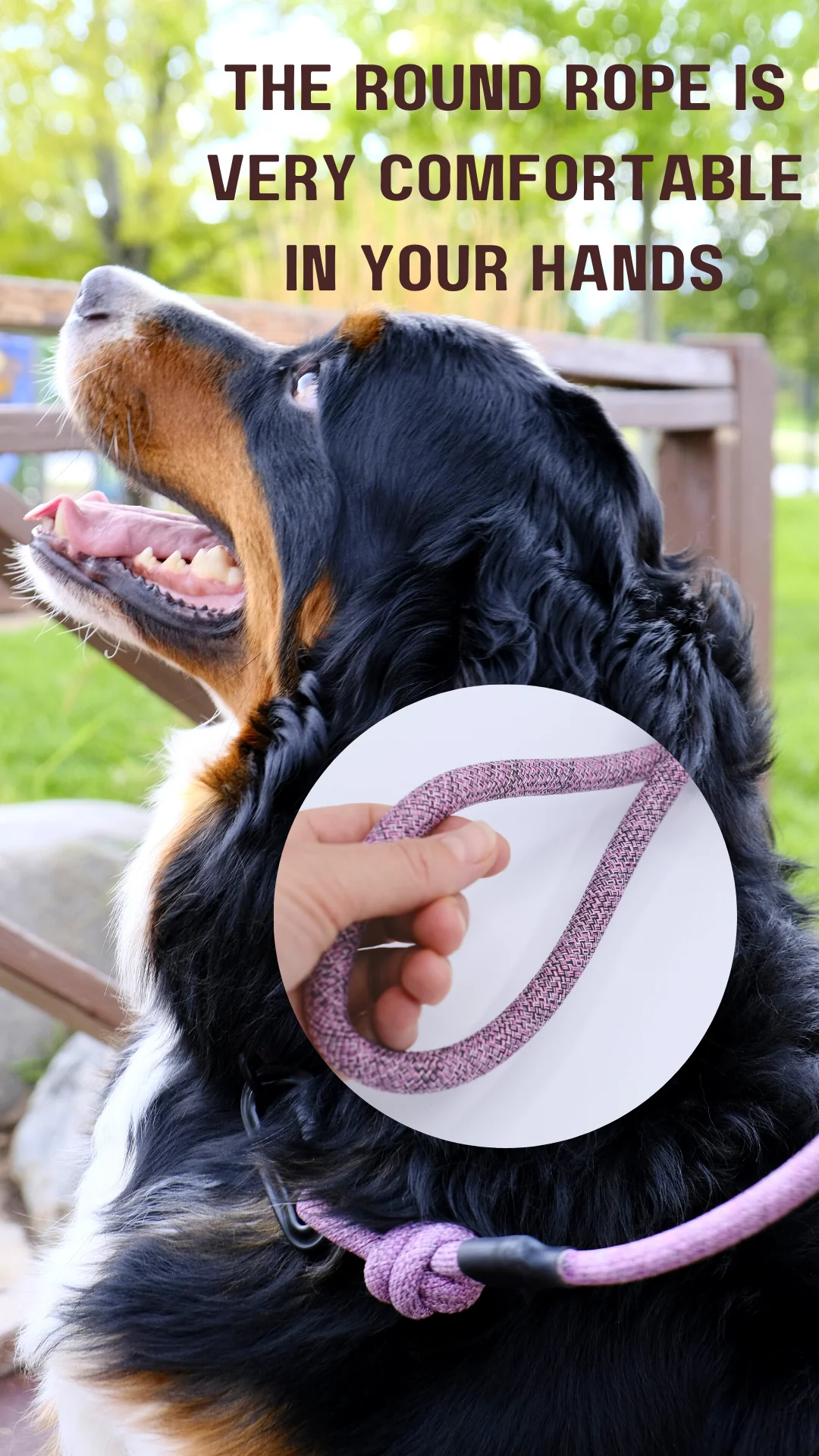 Adventure Style Mountain Blush Climbing Rope Dog Leash - Image 3