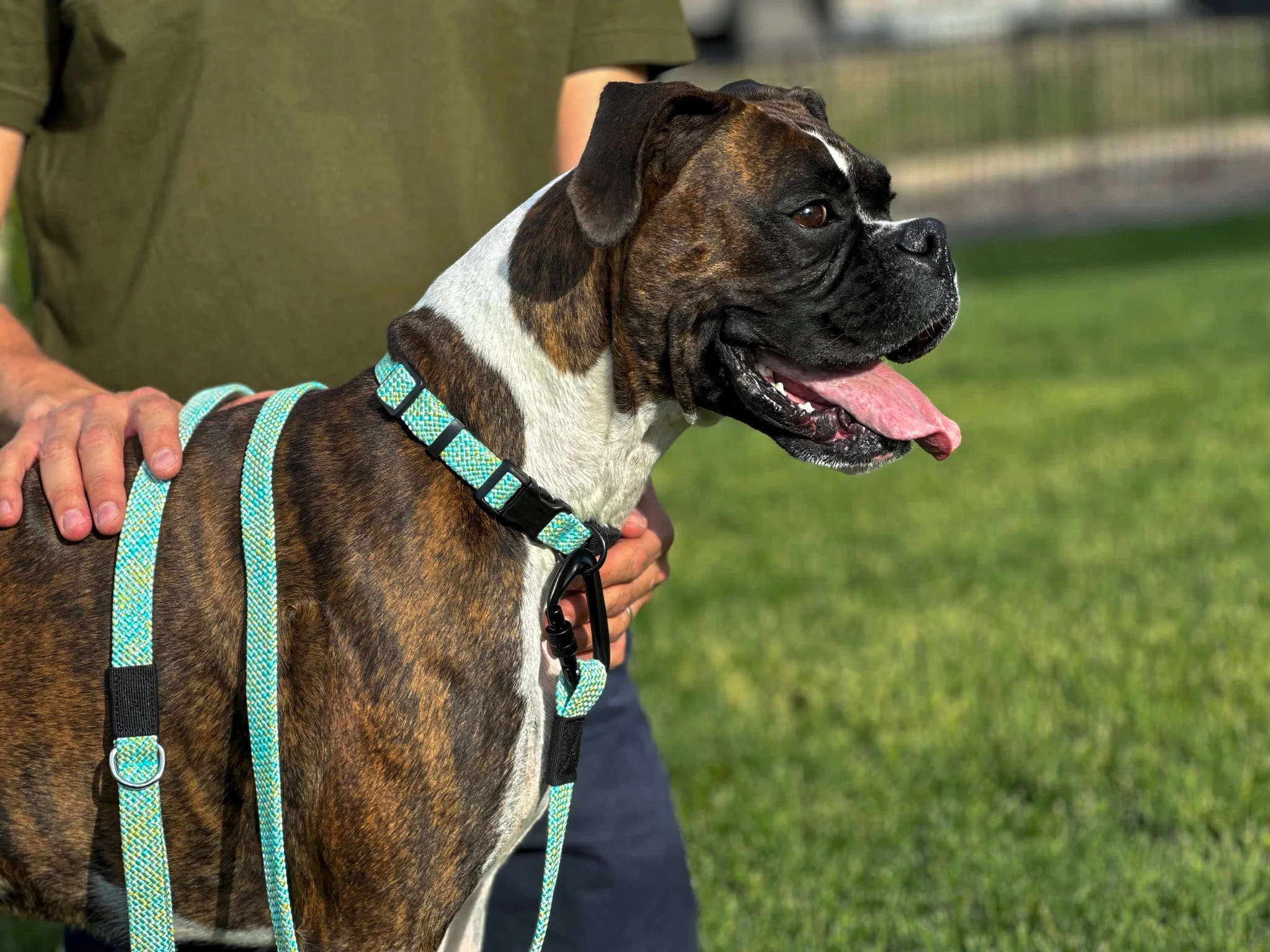 Adventure Style Mountain Wave Flat Weave Climbing Rope Dog Leash - Image 2