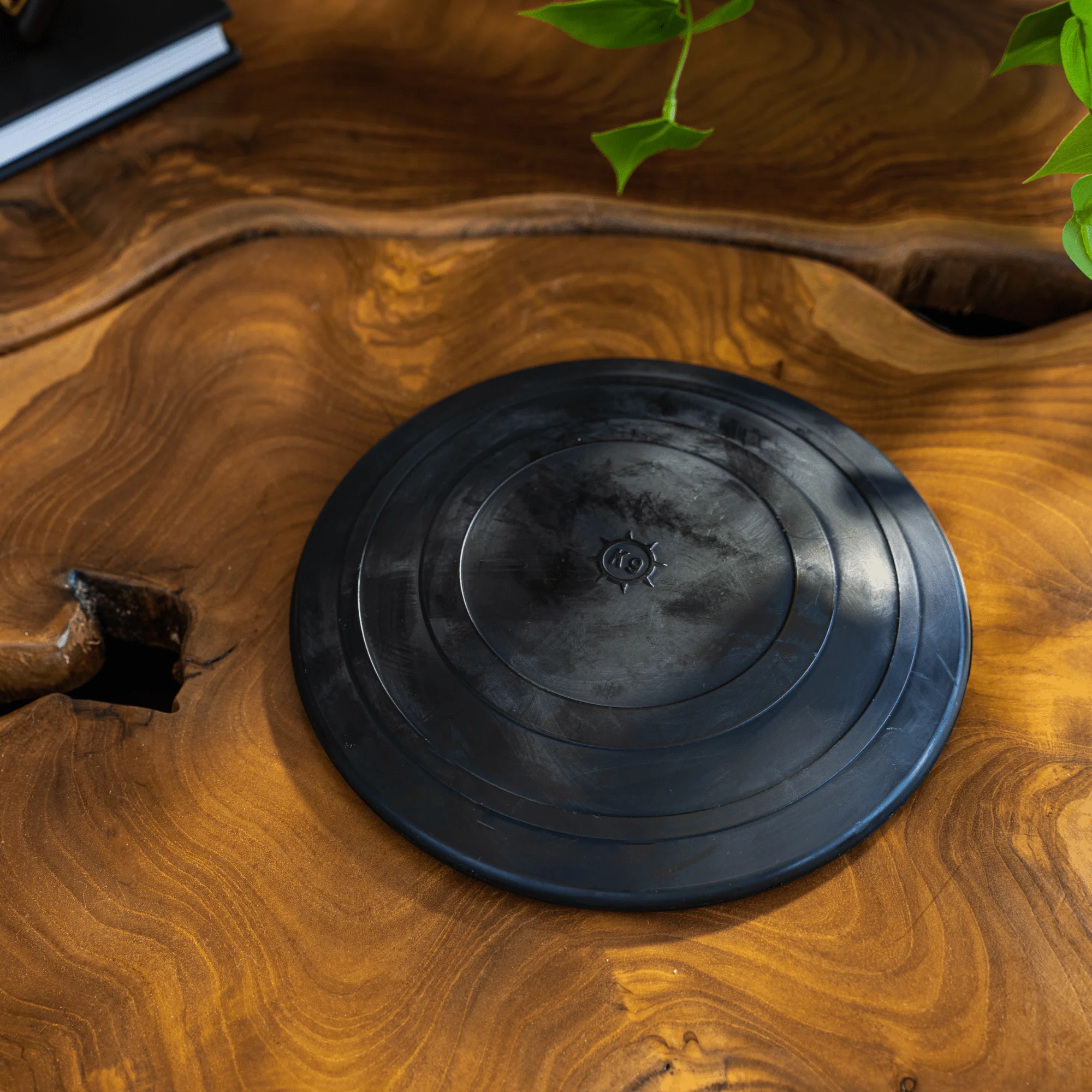 Aero Disc - Image 6