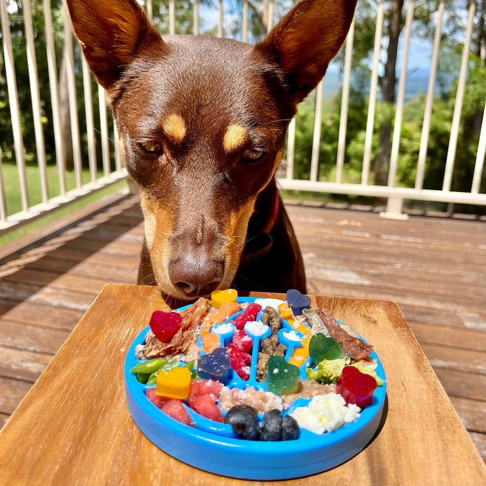 Air Nylon eCoin Lick Mat for Dogs - Durable Enrichment Toy | SodaPup - Image 5