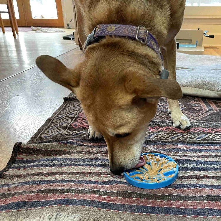 Air Nylon eCoin Lick Mat for Dogs - Durable Enrichment Toy | SodaPup - Image 7