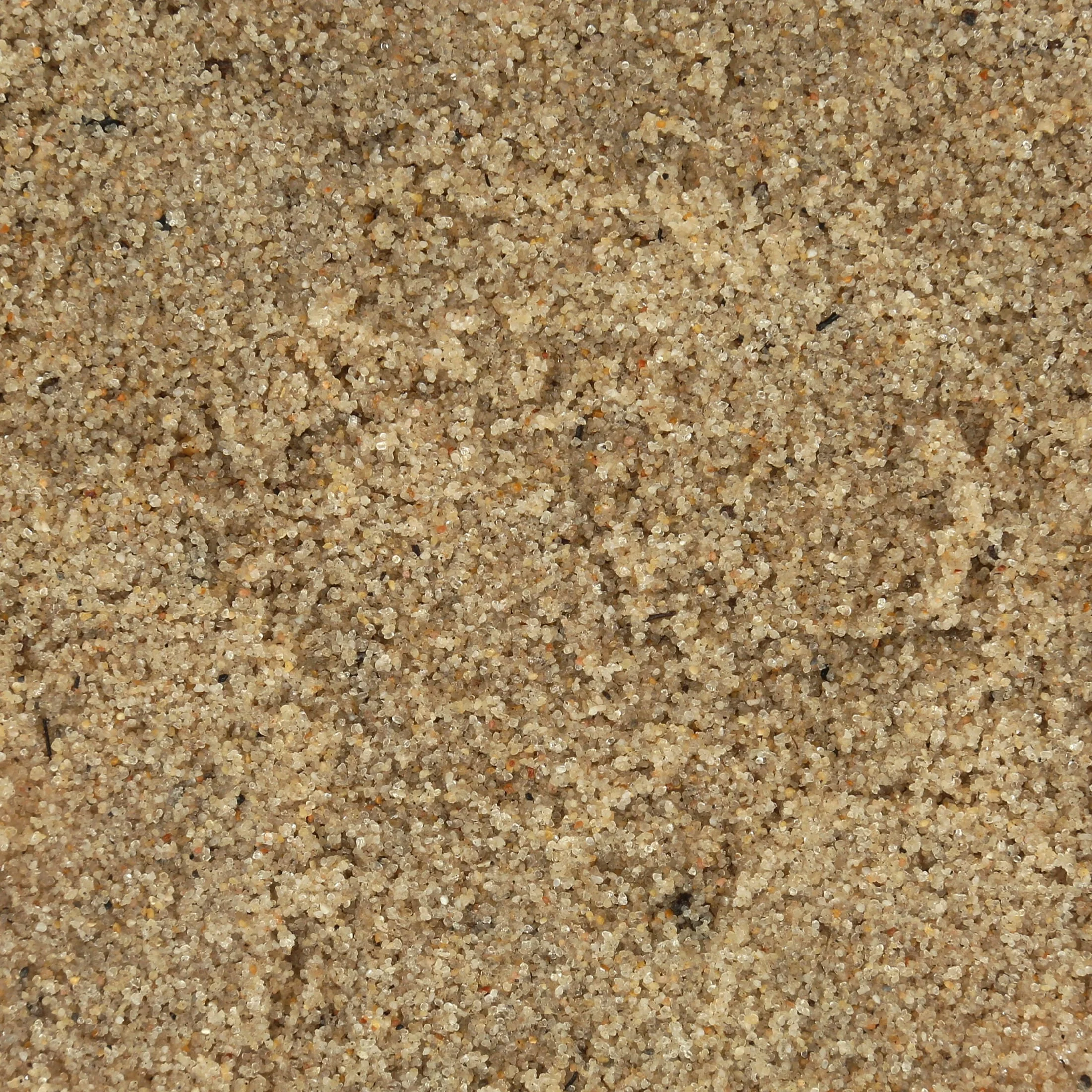 All- Natural Beach Sand Substrate for Hermit Crabs - Image 4
