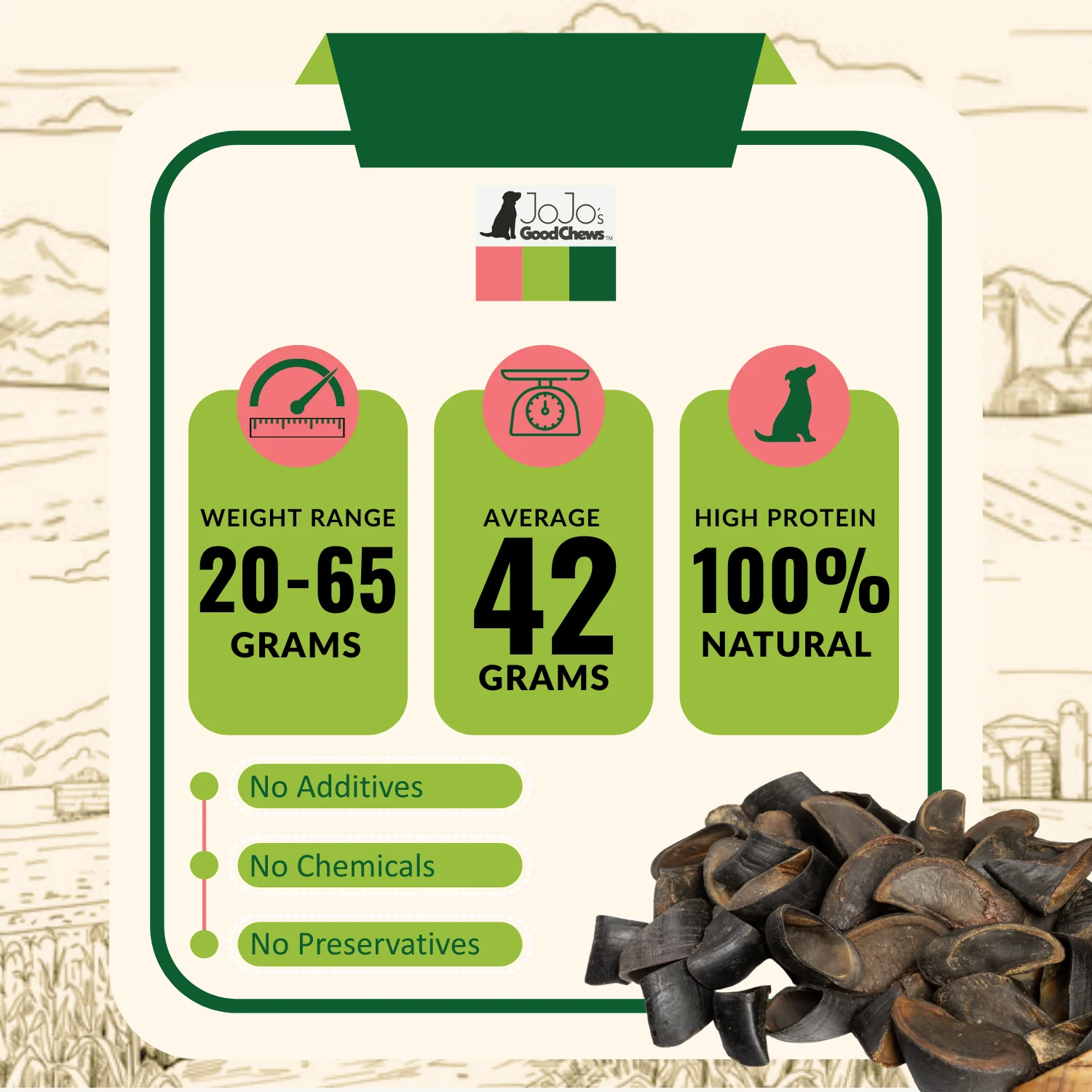 All-Natural Cow Hooves Dog Chews – Premium Crunchy Treats for Dental Health – (25/Case) - Image 6