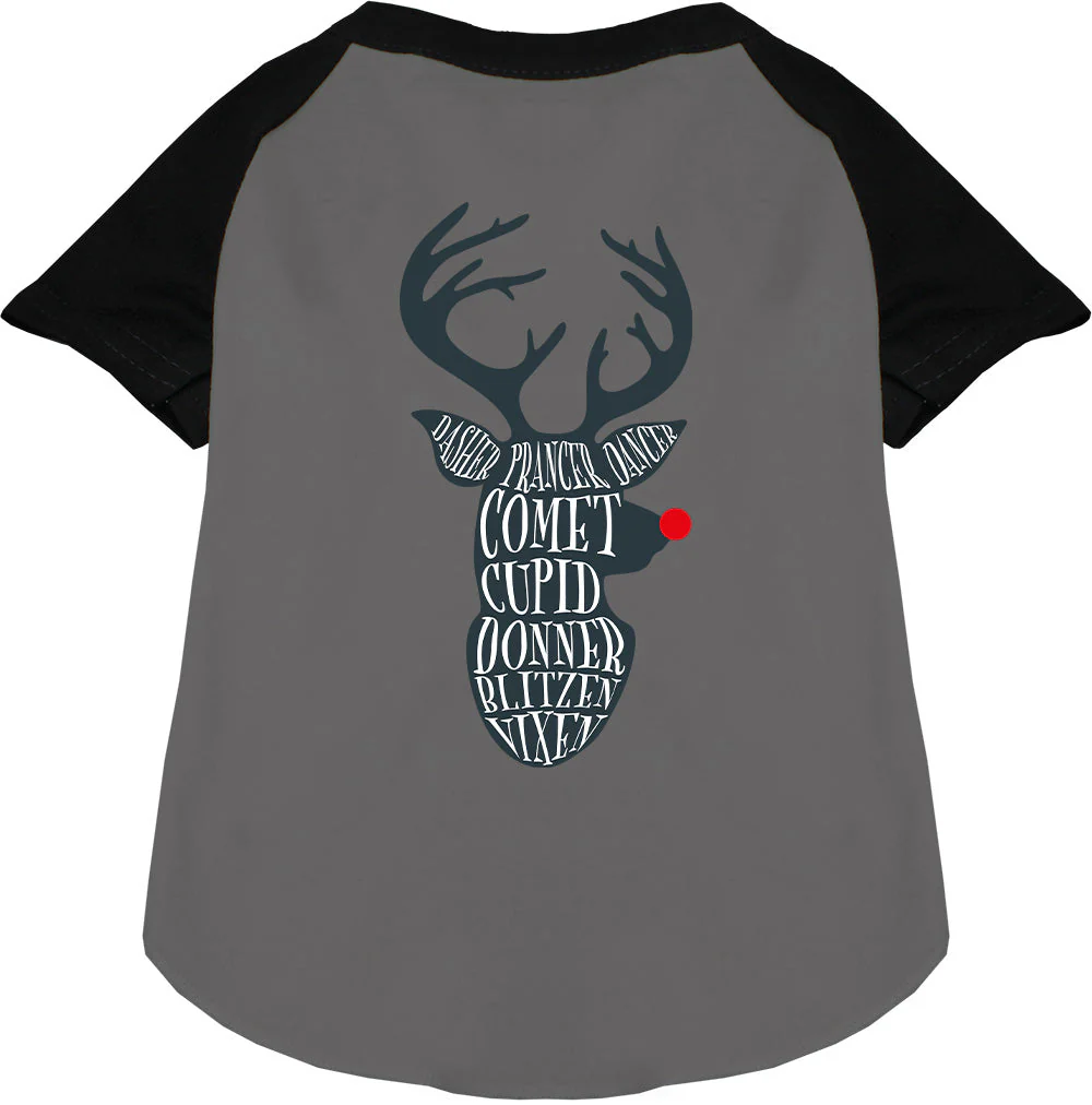 All Santa's Deer Pet Raglan Shirt - Image 3