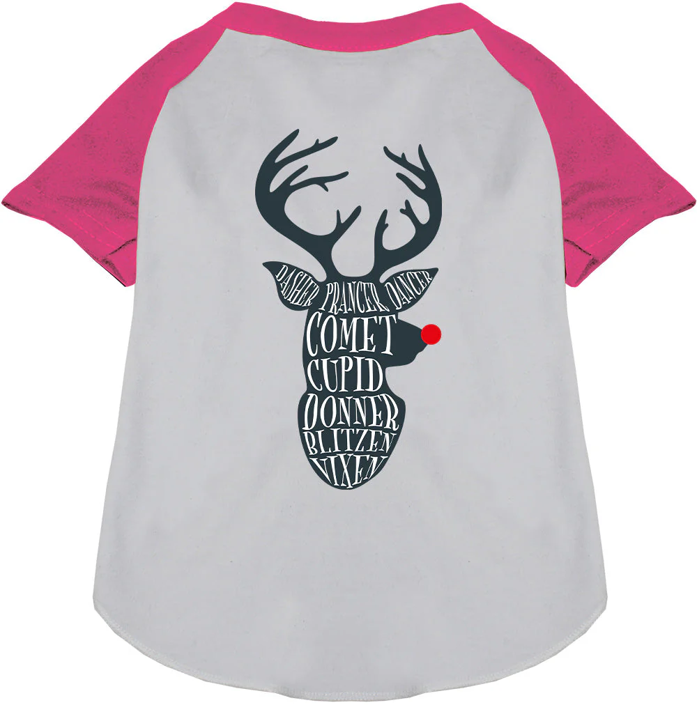 All Santa's Deer Pet Raglan Shirt - Image 5