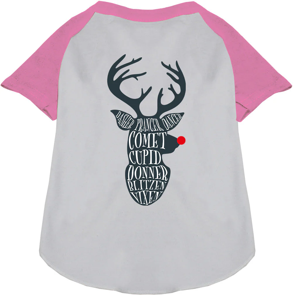 All Santa's Deer Pet Raglan Shirt - Image 6