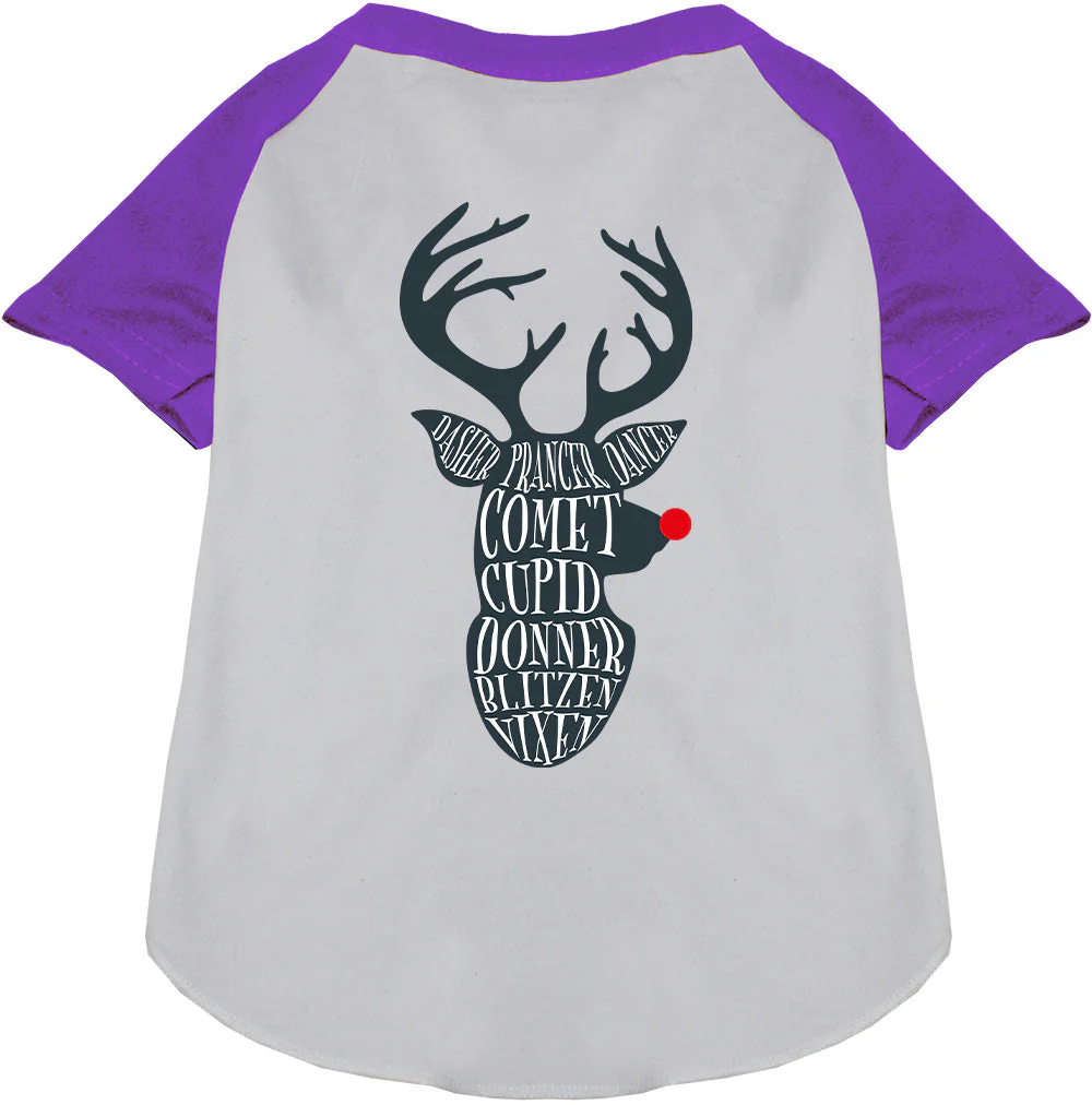 All Santa's Deer Pet Raglan Shirt - Image 7