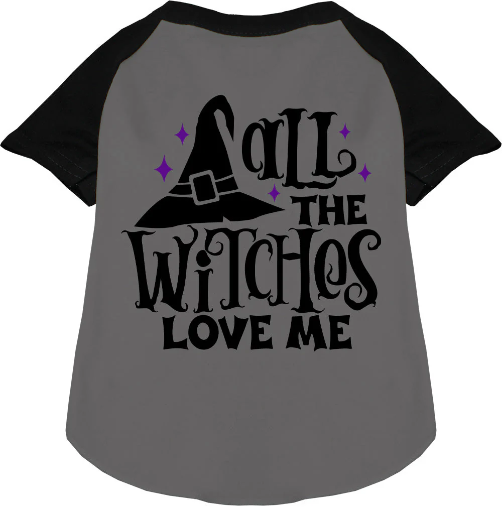 All the Witches Love Me! Pet Raglan Shirt - Image 7