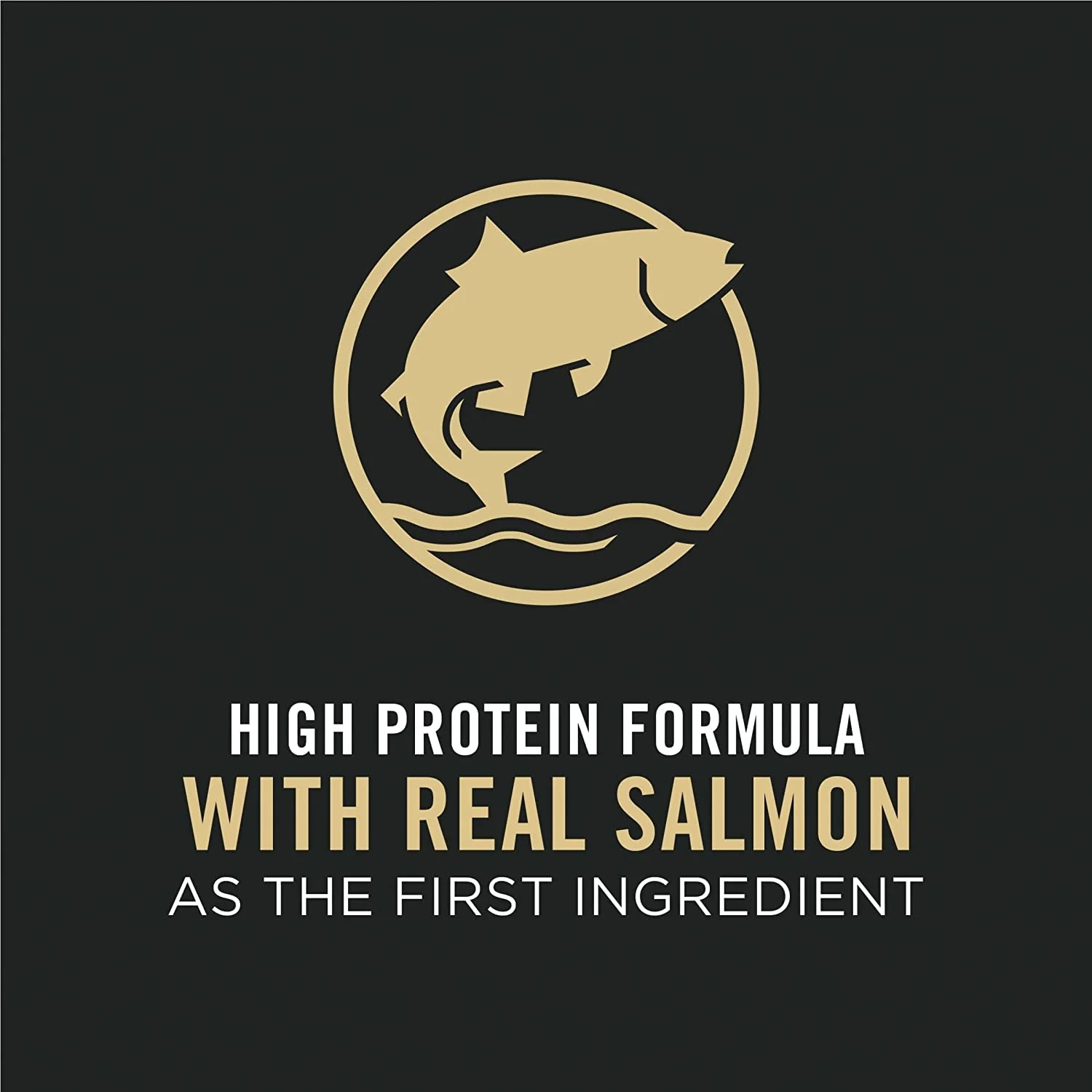 Allergen Reducing High Protein Cat Food - Image 7