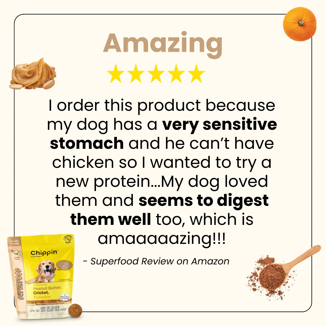 Allergy-Friendly Dog Treats, 6-Pack - Image 3