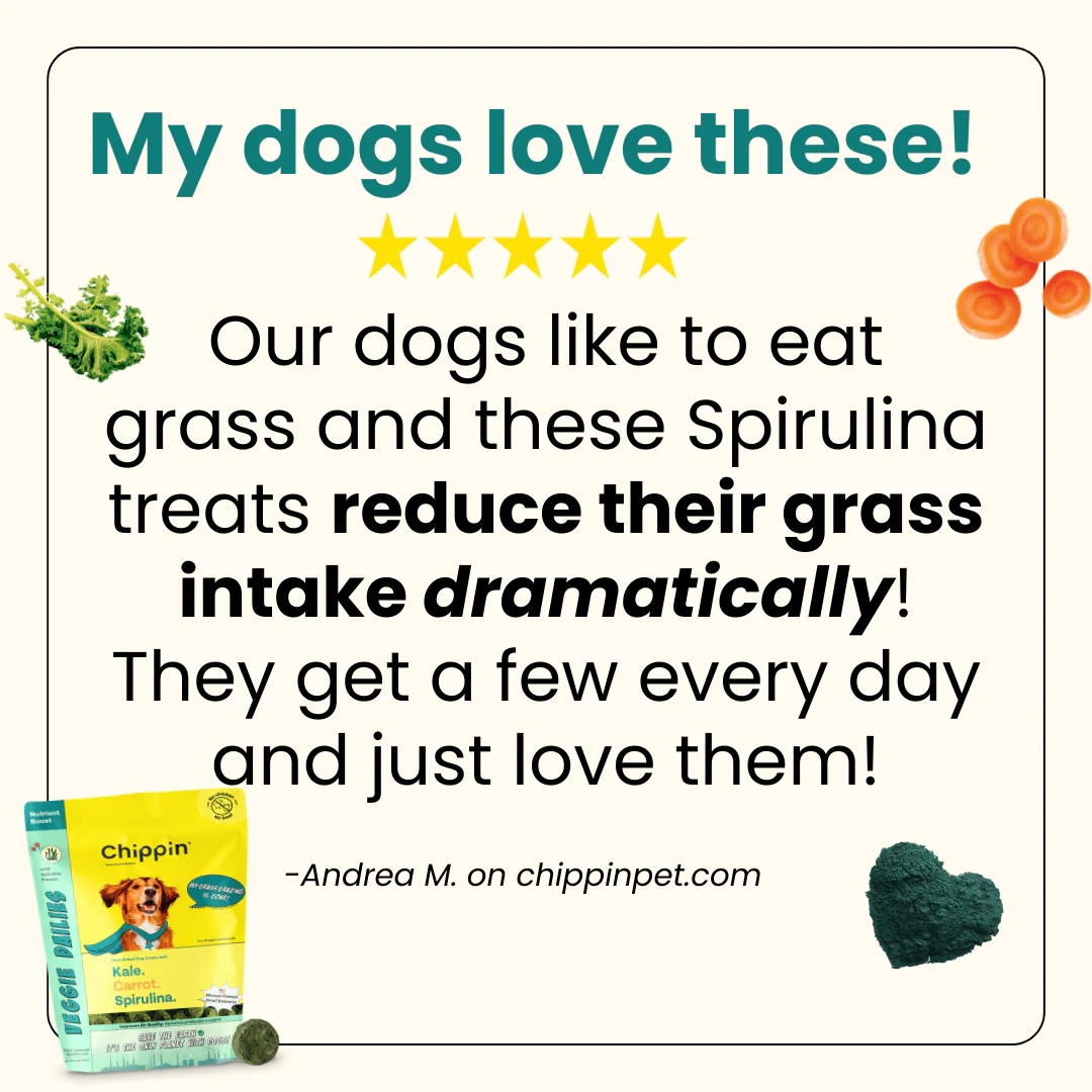 Allergy-Friendly Dog Treats, 6-Pack - Image 5
