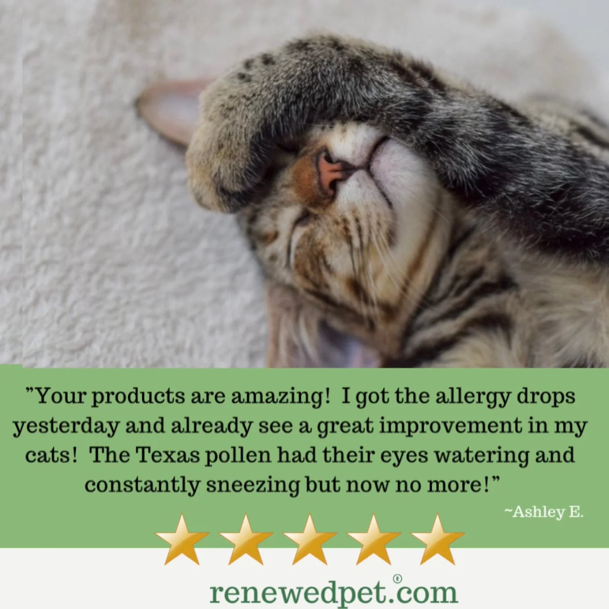 ALLERGY HEALTH/ Allergy-Free Remedy - Image 3