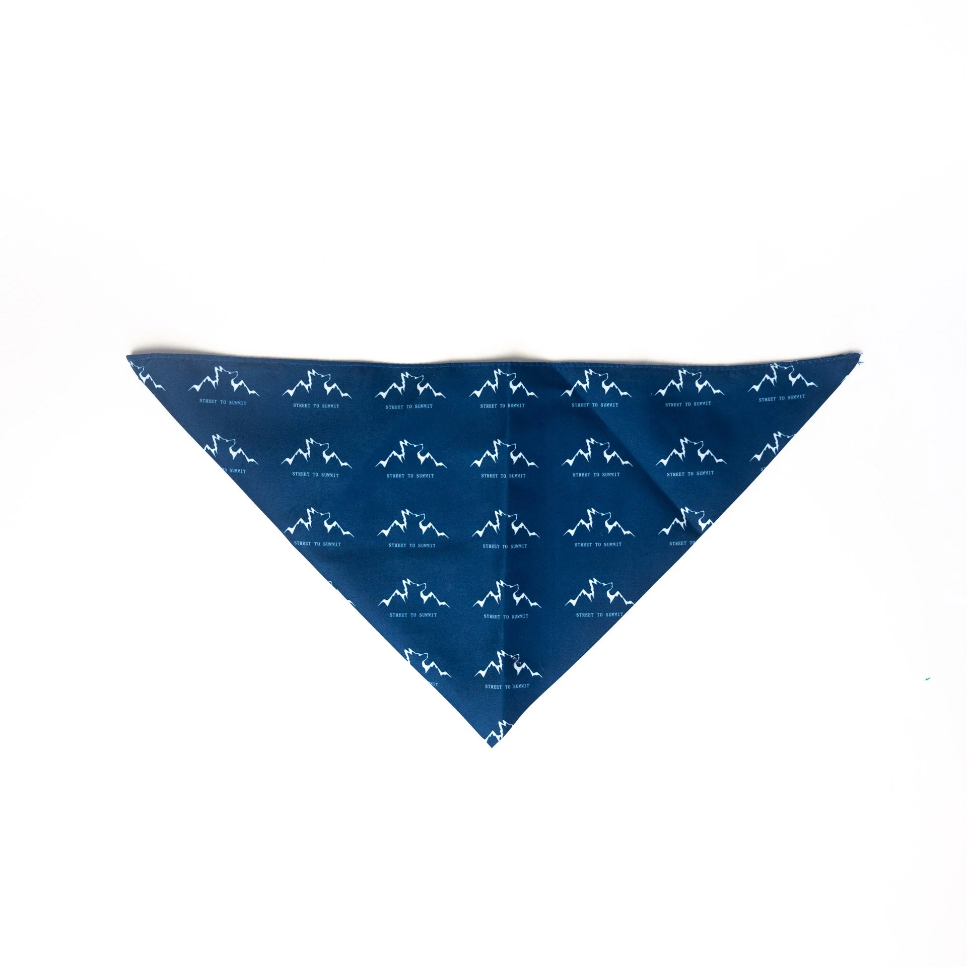 Alpha Pak Logo Bandana - Image 2