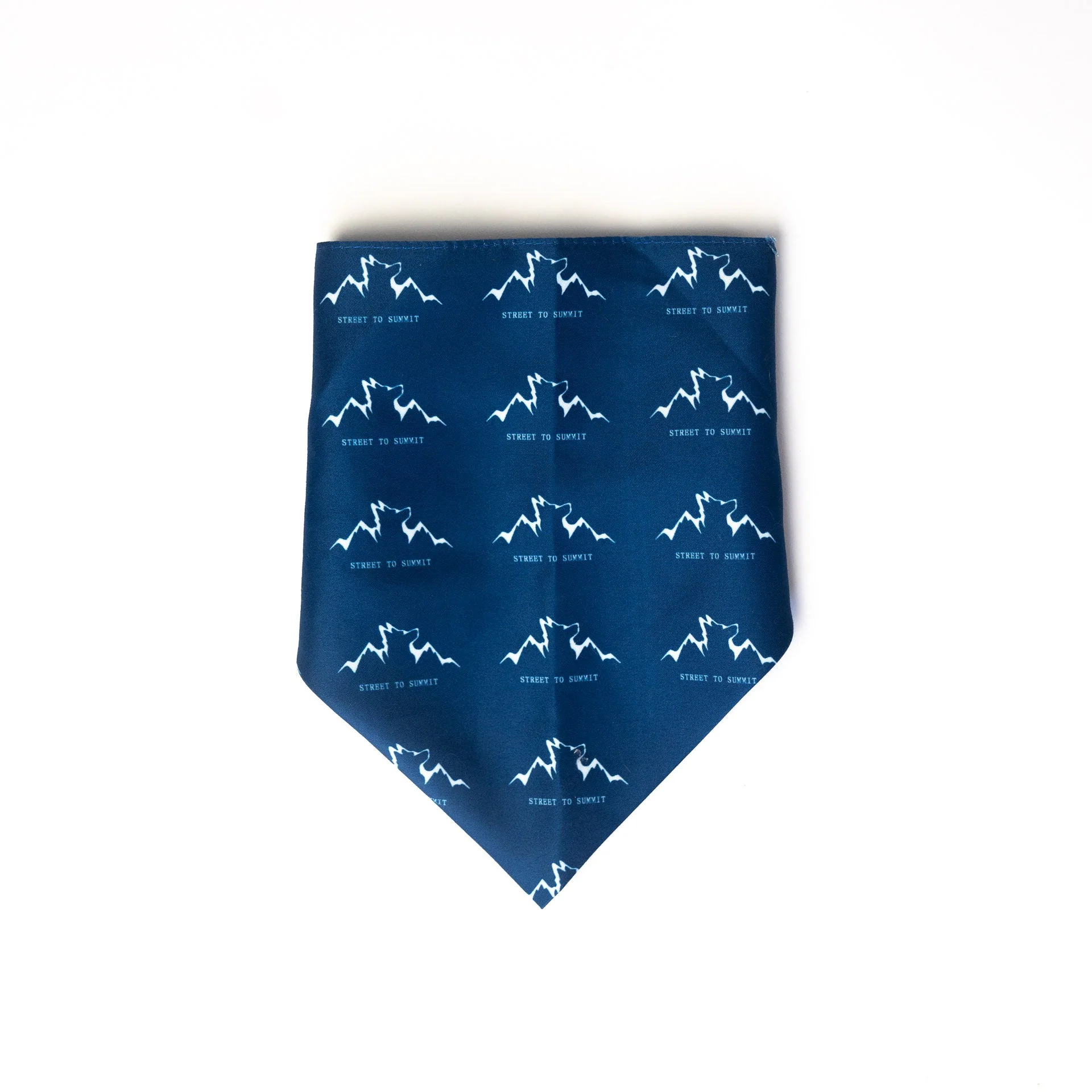 Alpha Pak Logo Bandana - Image 3