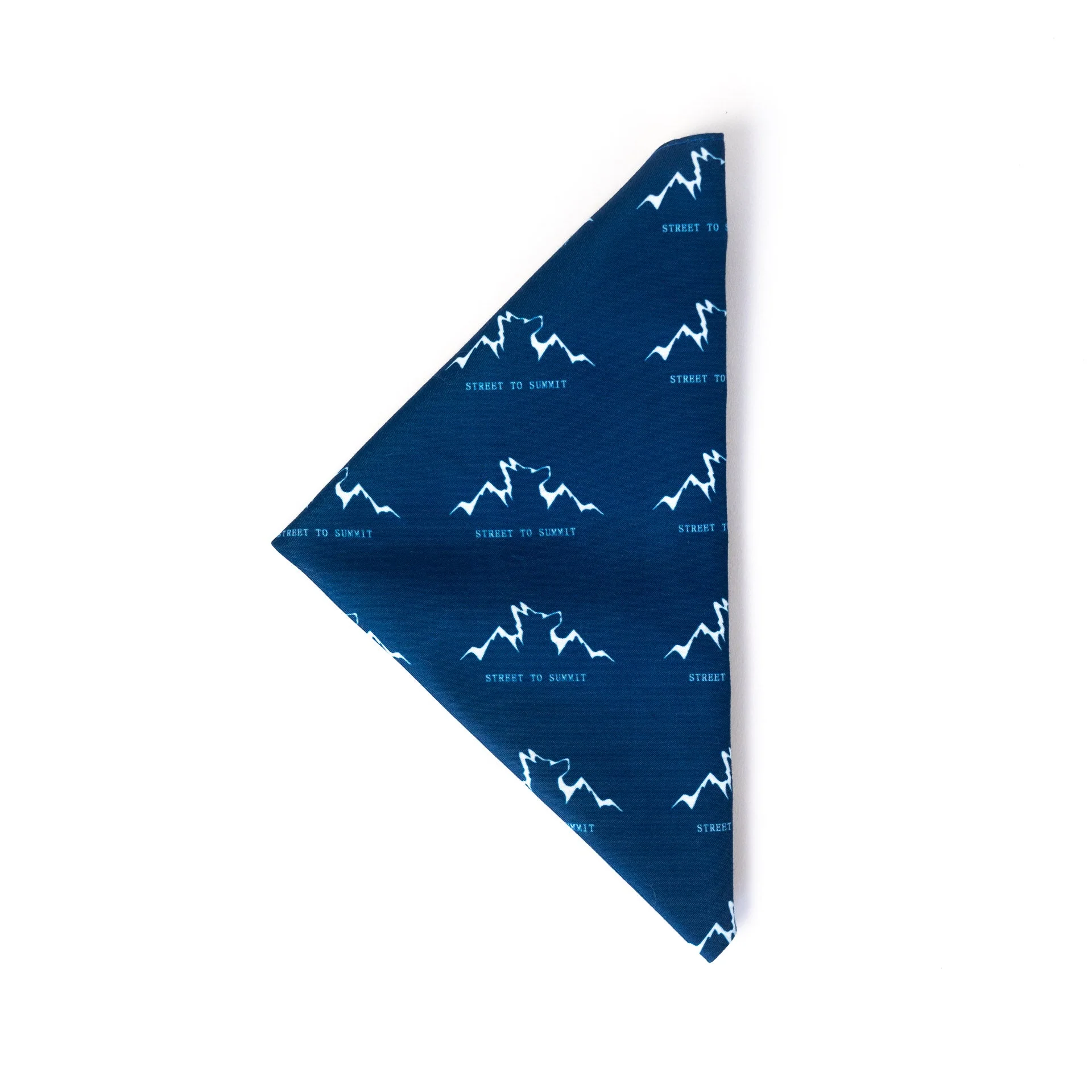 Alpha Pak Logo Bandana - Image 4